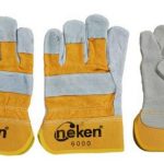 GLOVE